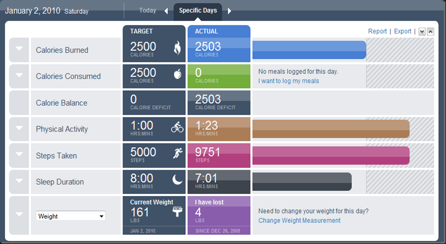 BodyMedia Dashboard for GoWearFit