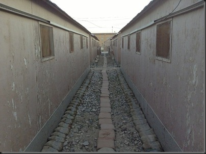 The pathway to my heart is a mysterious one!